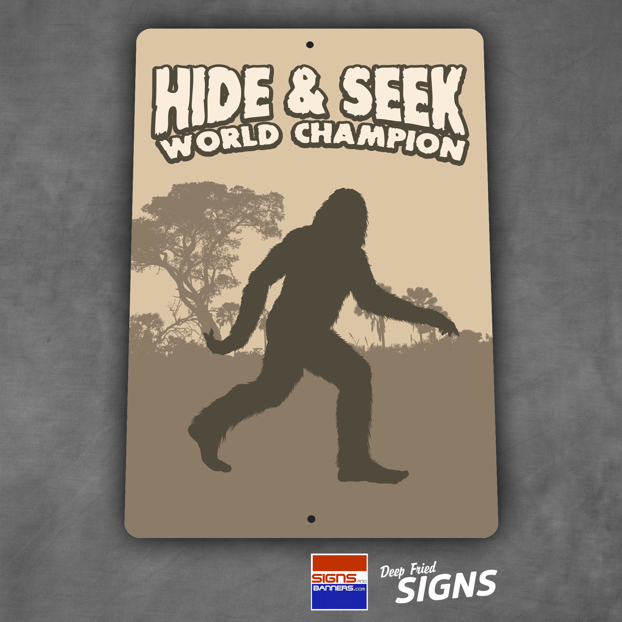 Hide and Seek World Champion